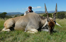 Eland Cape 1