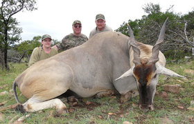 Eland Cape 2