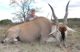 Eland Cape 3