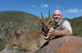 Klipspringer 1