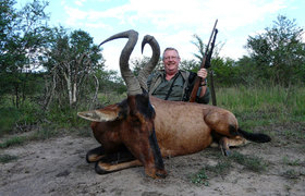 Red Hartebeest 1