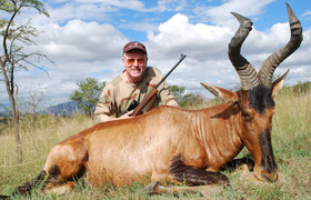 Red Hartebeest 2