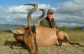 Red Hartebeest 3