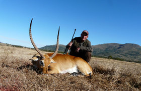 Red Lechwe 1