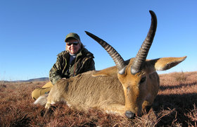 Reedbuck Common 3