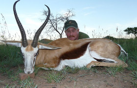 Springbuck Common 1