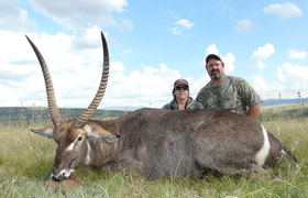 Waterbuck 1