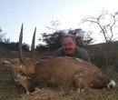 Cape Bushbuck