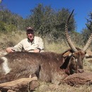 Waterbuck