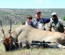 Eland