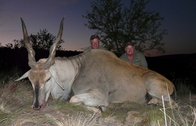 Eland