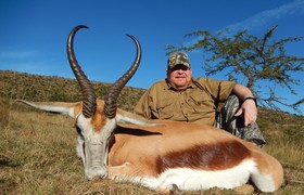 Cape Springbuck