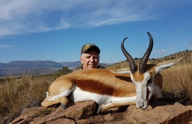 Cape Springbuck