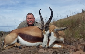 Cape Springbuck