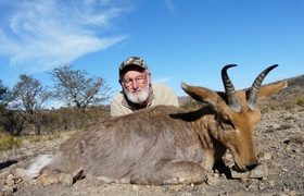 Mountain Reedbuck